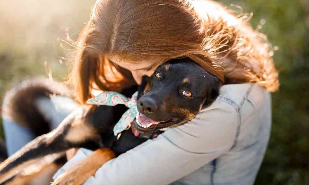 Anjing Tidak Suka Dipeluk: Mengapa dan Bagaimana Cara Menunjukkan Kasih Sayang yang Tepat?