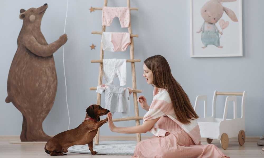 Cari Dog Trainer Spesialis Potty Training Terdekat PIK 1, PIK 2, dan Sekitarnya
