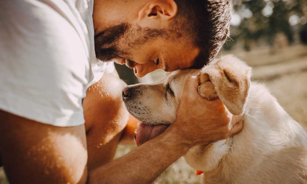 Cari Informasi Dog Trainer Terbaik Terdekat Citra Garden City Jakarta Barat
