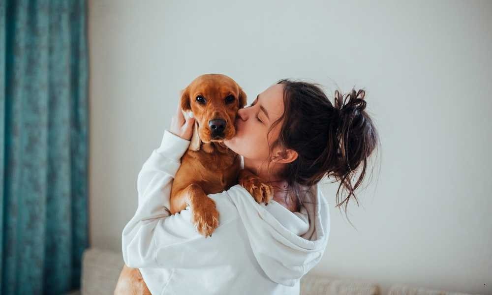 Jasa Dog Trainer Surabaya (Home Service) Area Pakuwon dan Sekitarnya
