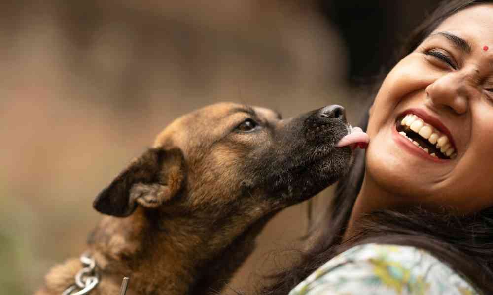 Mari Cari Tahu Alasan Kenapa Anjing Suka Menjilat Kaki Majikannya