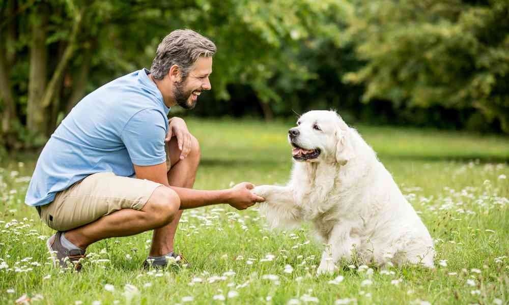Tips Cara Membuat Anjing Takut dan Nurut pada Kita: Pendekatan yang Tepat untuk Kepatuhan